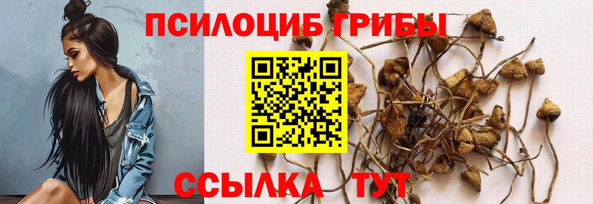Донецк  Псилоцибиновые грибы Cubensis  Вход с VPN 
